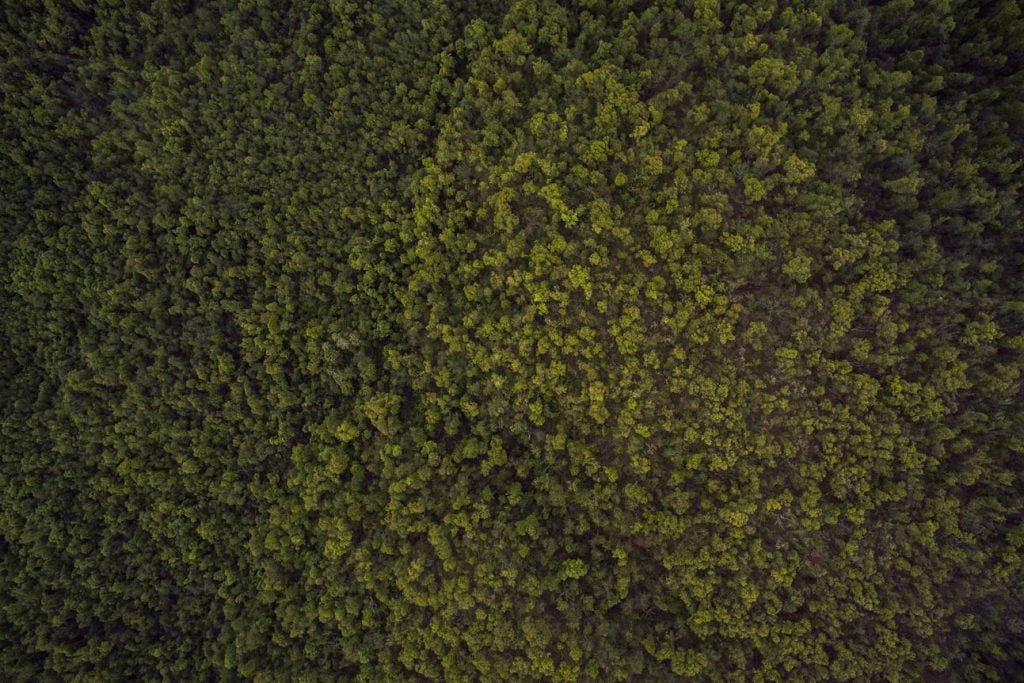 Natus occaecati maxime et dignissimos rem 1